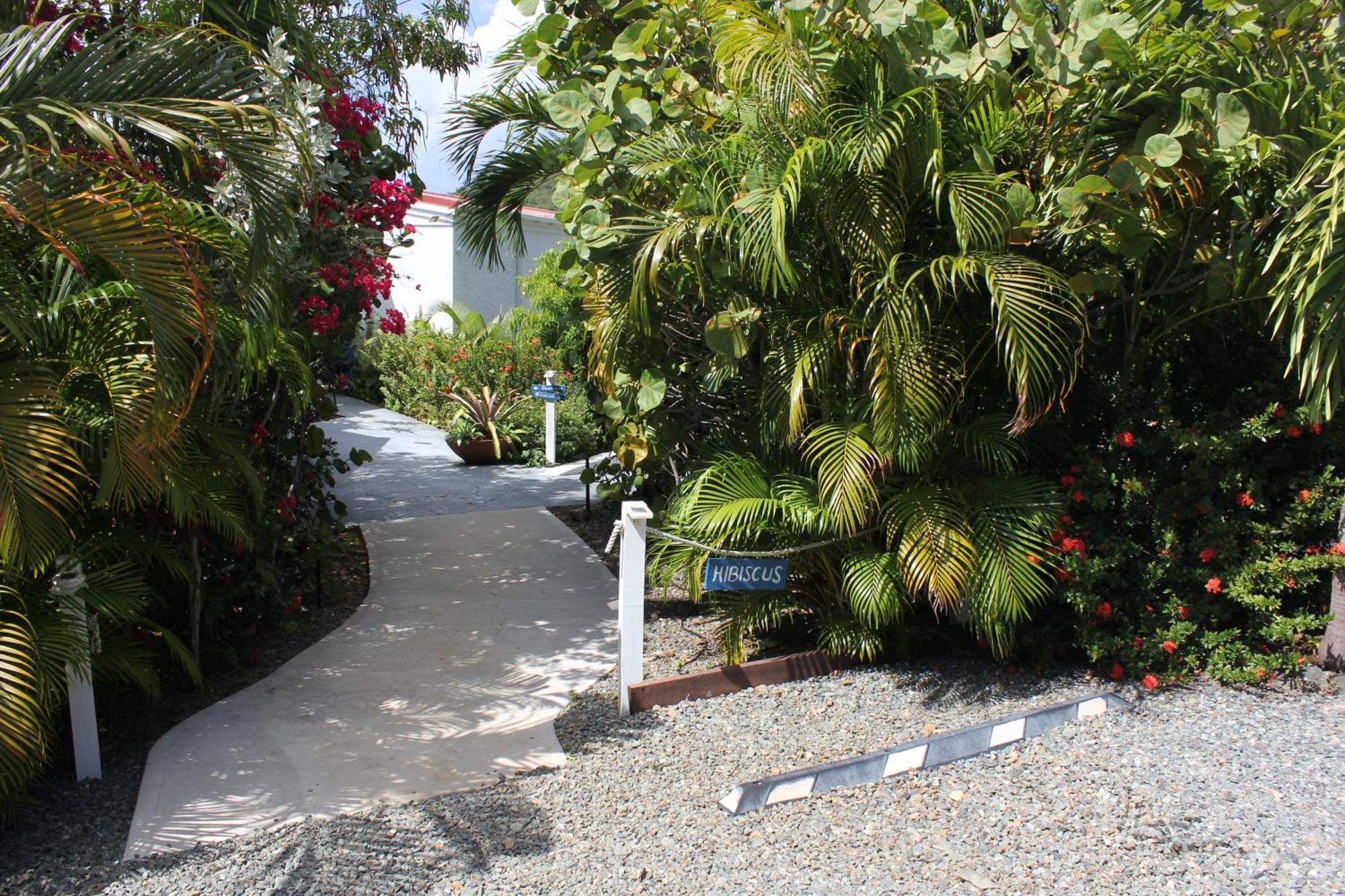 Hibiscus Suite At Sunset Serenade Cruz Bay المظهر الخارجي الصورة